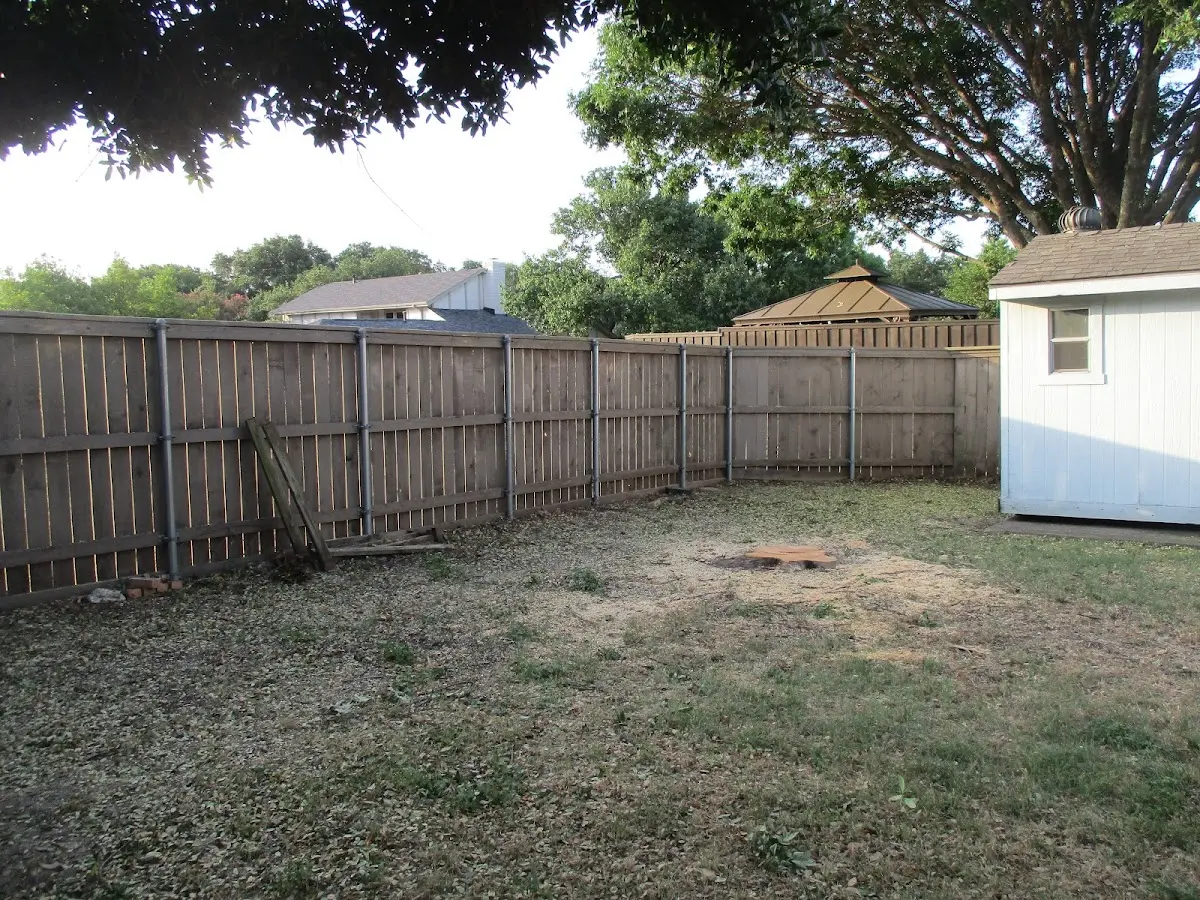Cleared yard after professional tree removal in Rockford